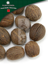 肉豆蔻,未硫化的肉豆蔻种子